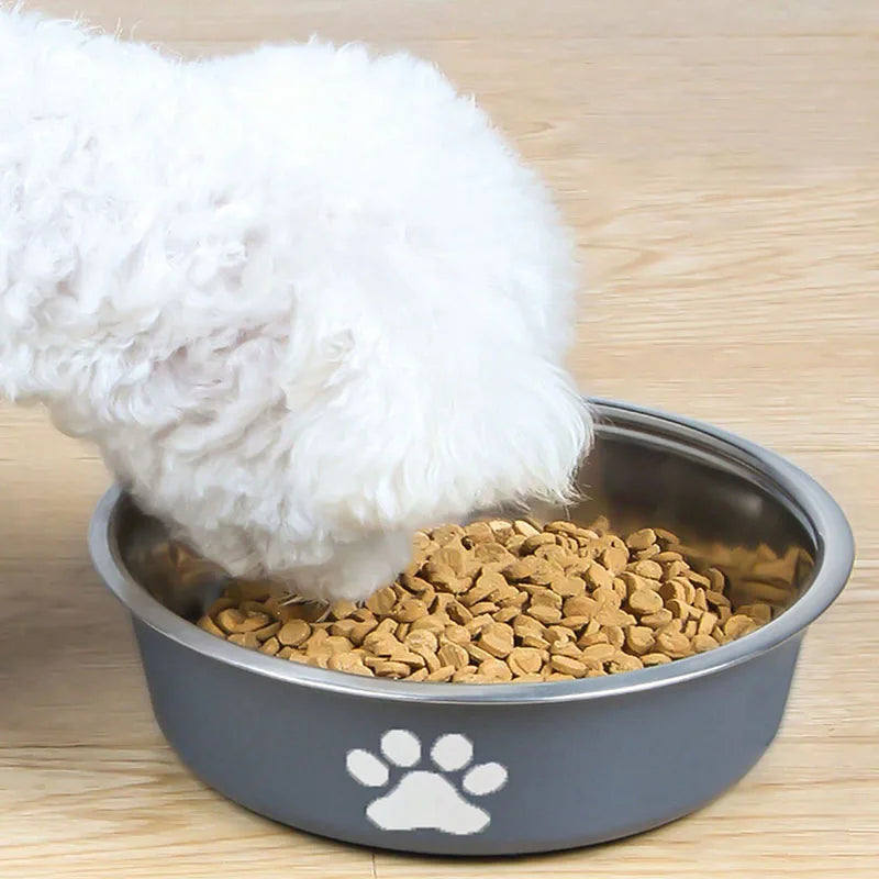 Cat bowl stainless steel dog basin new printed pet supplies dog bowl silicone bottom non-slip pet drinking water feeding bowl