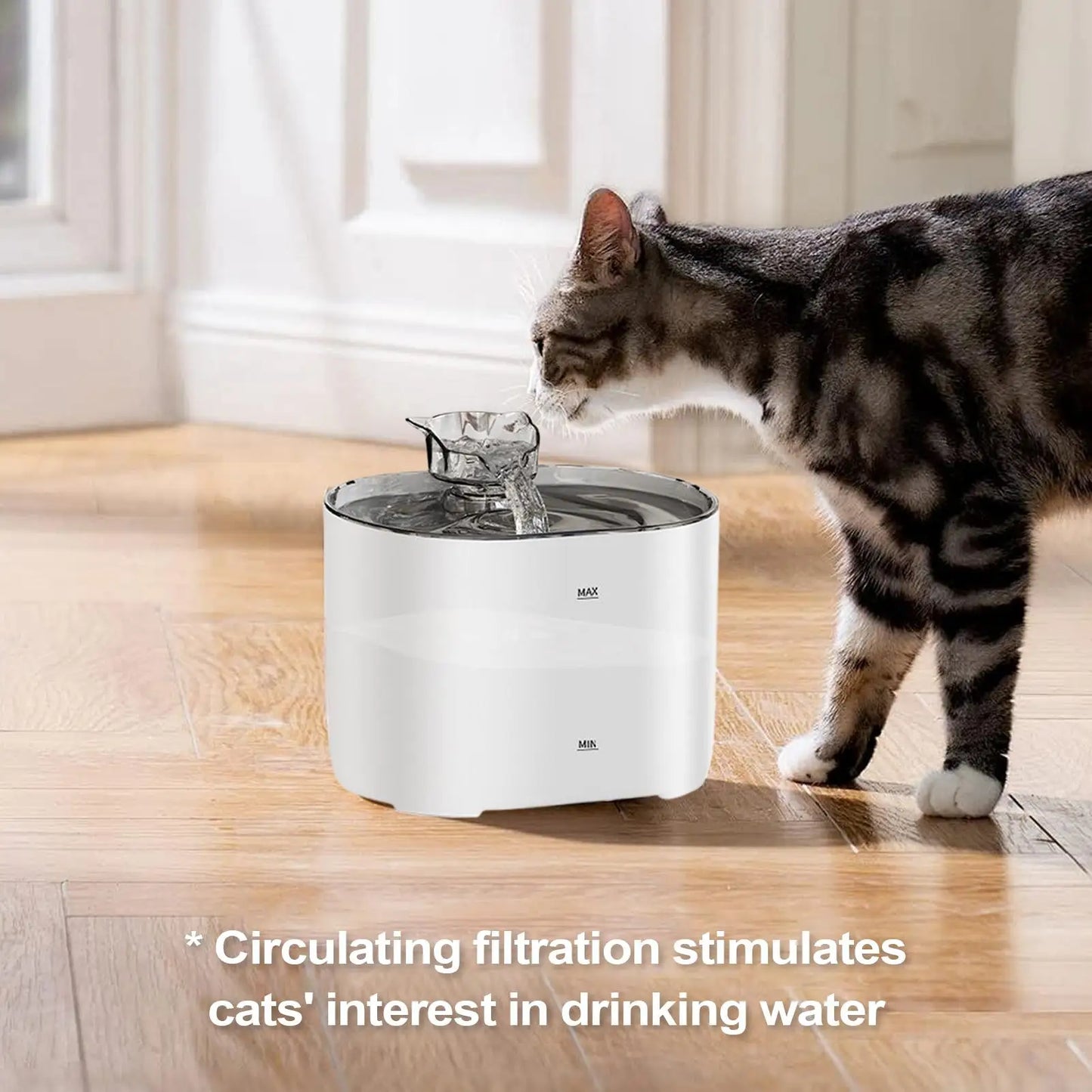 Cat Automatic Waterer Fountain with Filter Smart Pet Water Dispenser for Dog Cat Drinking Supply Multi-Layer Filtration water
