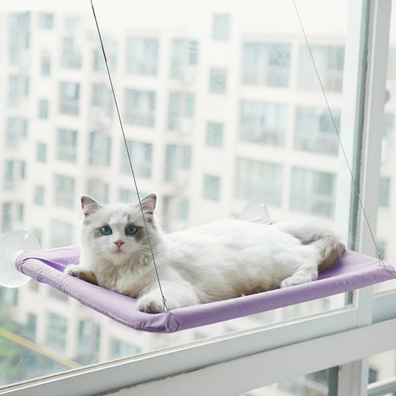 New pet cat hammock hanging cat bed bearing 20 kg comfortable sunny window seat kitten rock climbing frame pet supplies