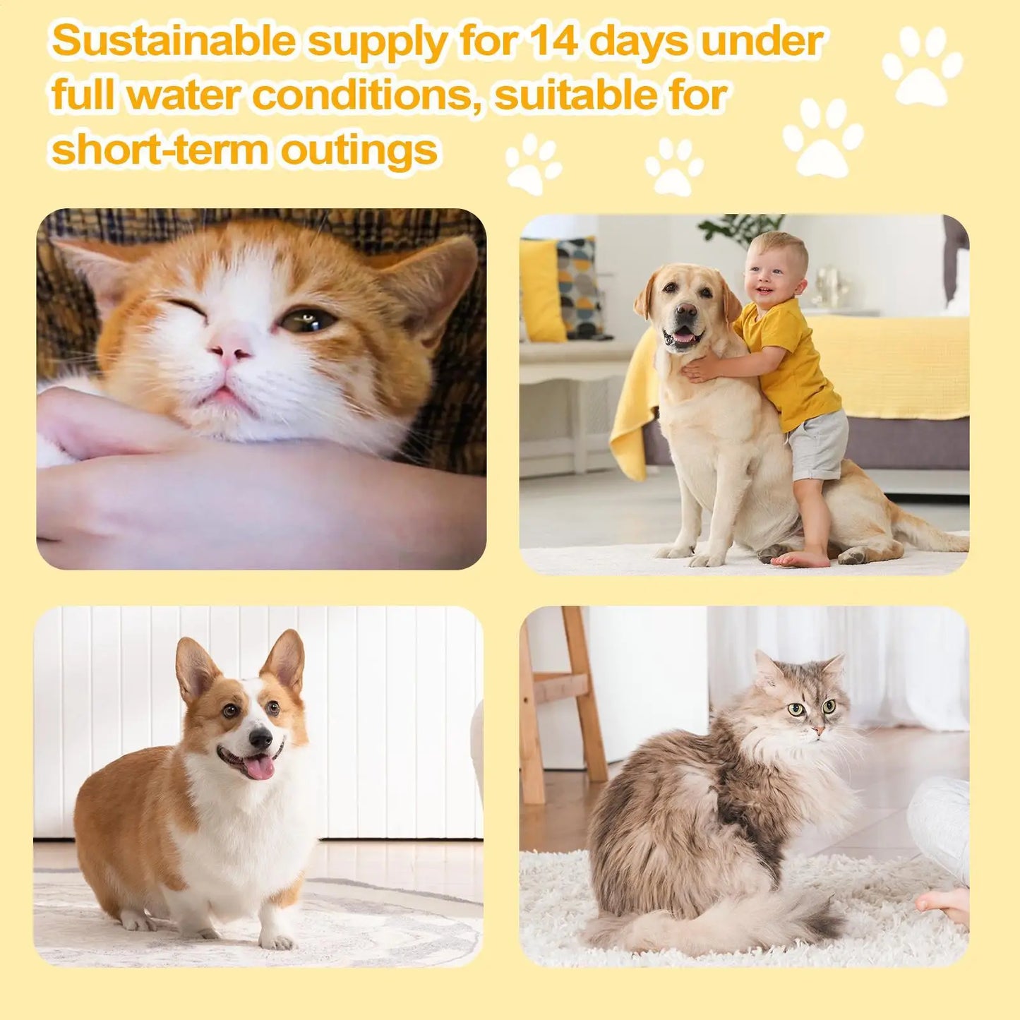 Cat Automatic Waterer Fountain with Filter Smart Pet Water Dispenser for Dog Cat Drinking Supply Multi-Layer Filtration water