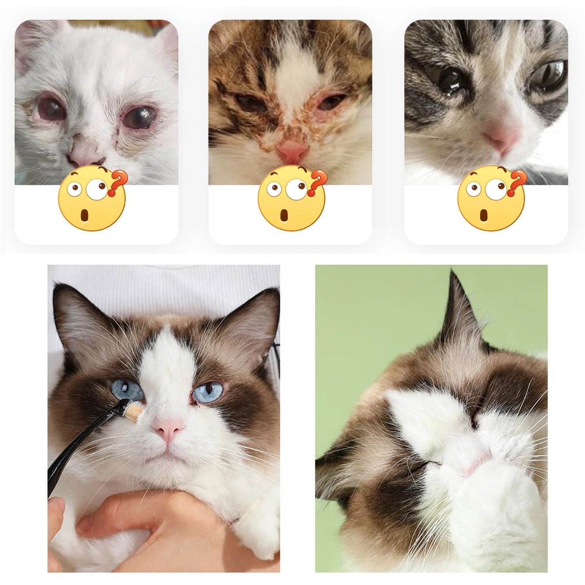 Anti-Static Pet Tear Brush Cat Grooming Tool Brown Hair Removal Eye Protection for Cats And Dogs Pet Care Supplies