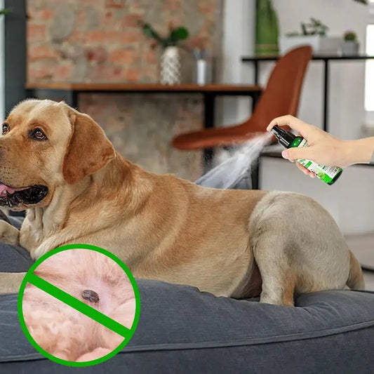 Pet Spray Fleas Tick And Mosquitoes Spray For Dogs Cats And Home Fleas Removal For Dogs And Home Fleas Soothing Spray