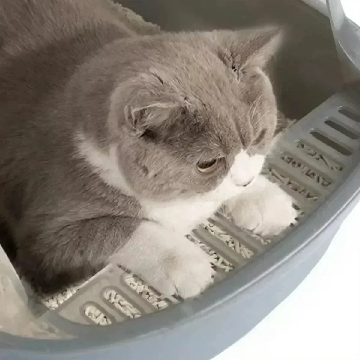 Kitty Sandbox Cat Litter Box Semi-enclosed Splashproof Cat Tray Cat Toilet Cleaning Basin Supplies Pet Toilet Kitten Tray Bedpan
