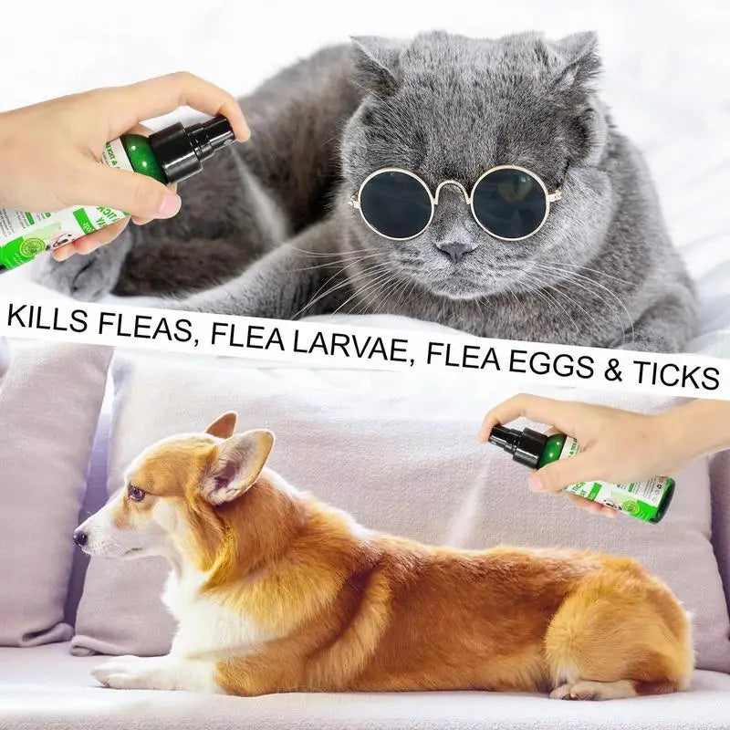 Pet Spray Fleas Tick And Mosquitoes Spray For Dogs Cats And Home Fleas Removal For Dogs And Home Fleas Soothing Spray