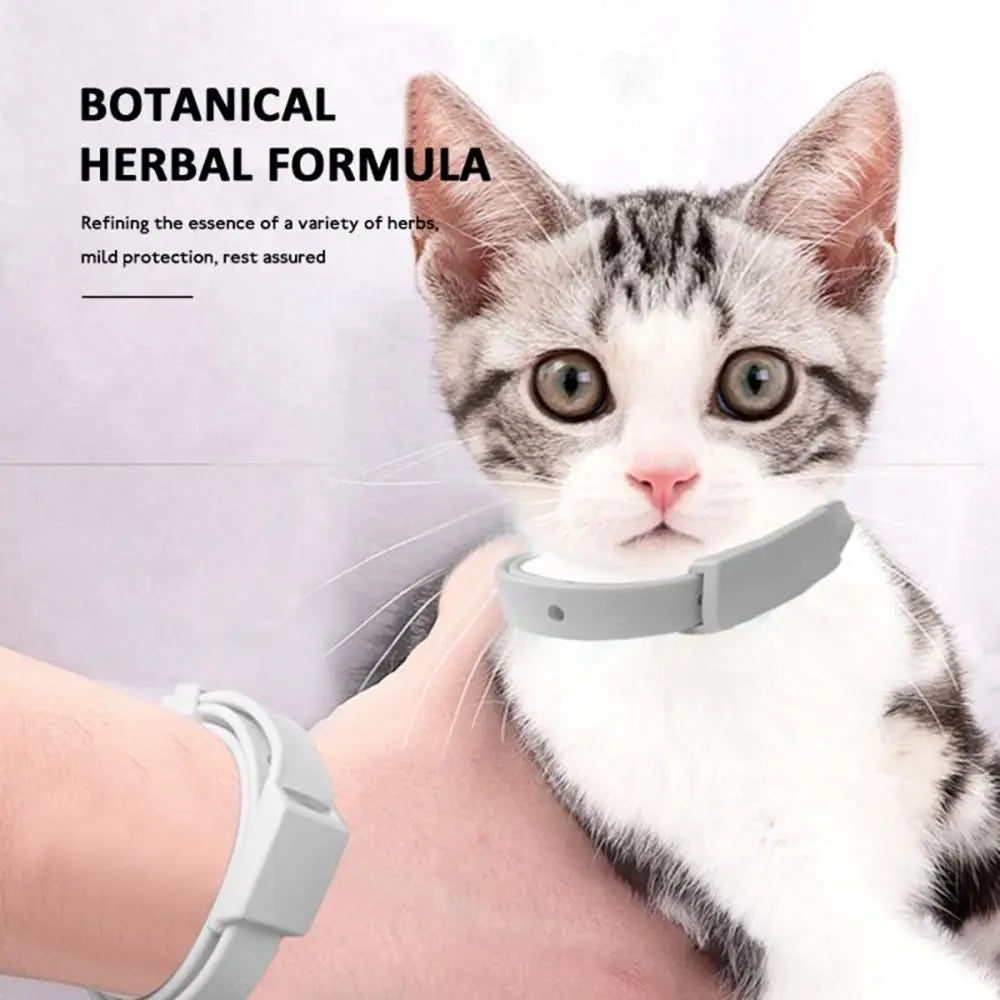 Pet Products Cute Anti Ticks Anti Flea for Cat Dog Silicone Flea Collar Dog Flea Repeller Puppy Collar Dog Cat Collar