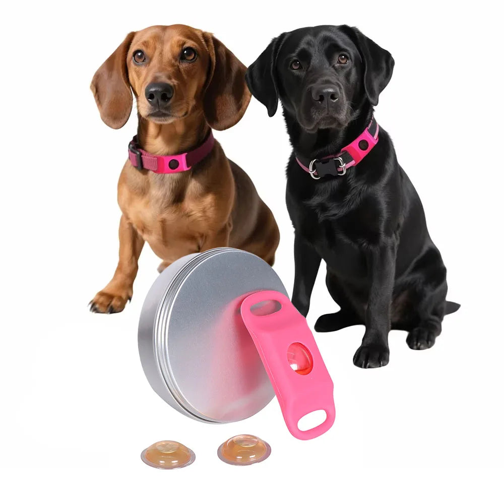 Natural Pets Anti - Flea & Tick Essential Oil Pendant Dogs Cats Safe Collar Wearable Pet Tags with Essential Oils to Repel Pests