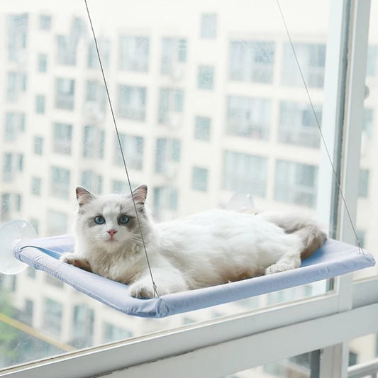 New pet cat hammock hanging cat bed bearing 20 kg comfortable sunny window seat kitten rock climbing frame pet supplies