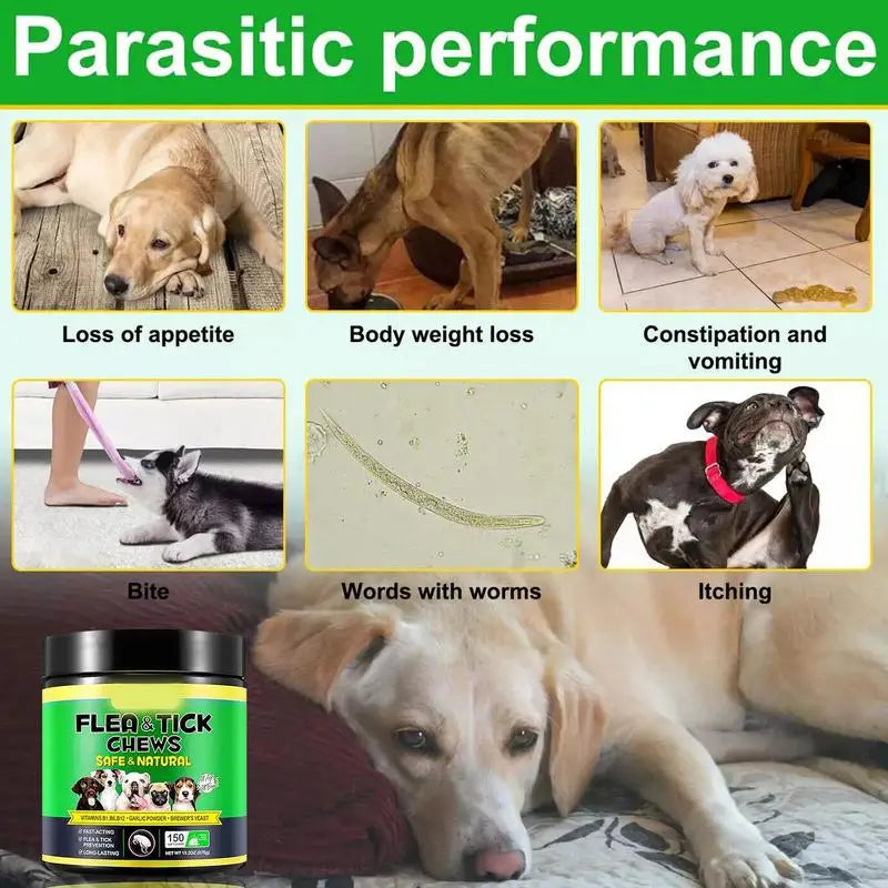 Dog Flea Pill Puppy Supplement For Gnat Multifunctional Chewable Quick Facting Flea and Tick Natural Prevention