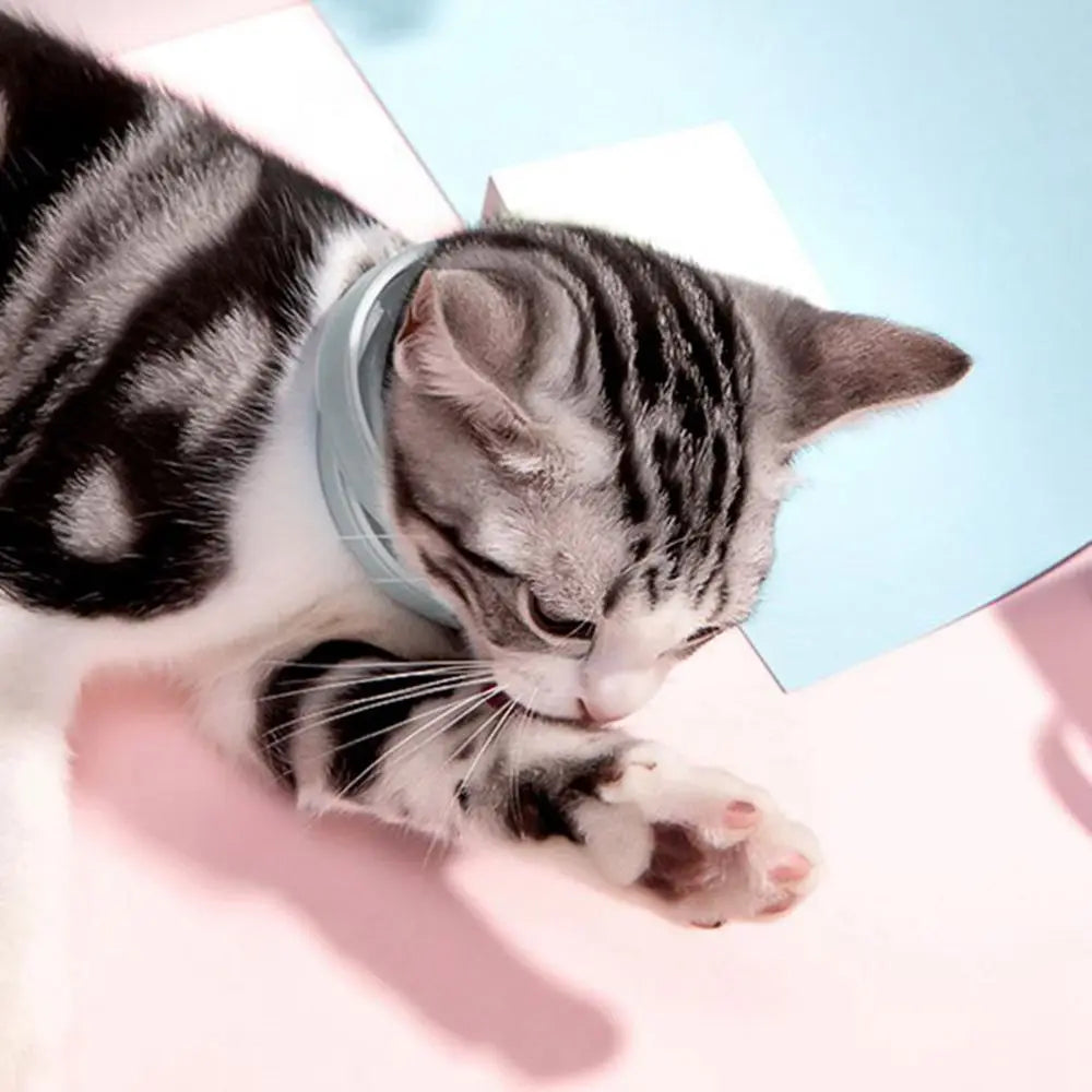 Pet Products Cute Anti Ticks Anti Flea for Cat Dog Silicone Flea Collar Dog Flea Repeller Puppy Collar Dog Cat Collar